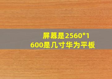 屏幕是2560*1600是几寸华为平板