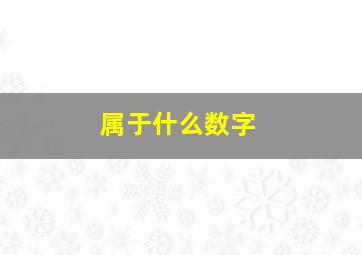 属于什么数字