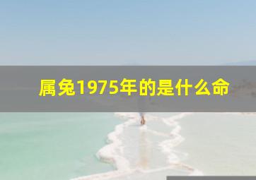 属兔1975年的是什么命