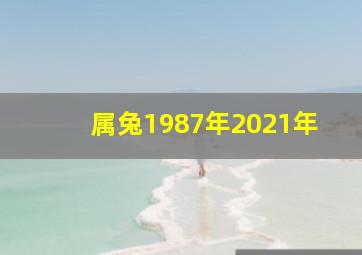 属兔1987年2021年