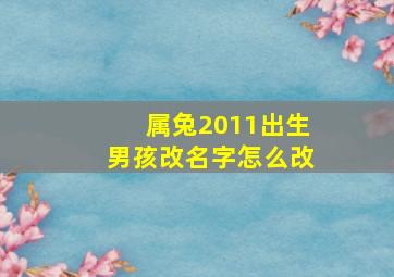 属兔2011出生男孩改名字怎么改