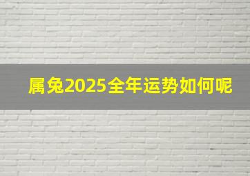 属兔2025全年运势如何呢