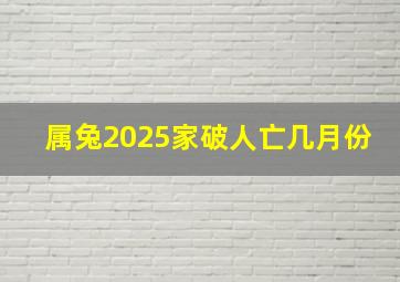 属兔2025家破人亡几月份