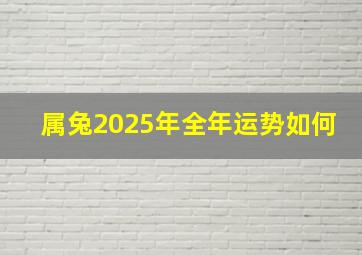 属兔2025年全年运势如何