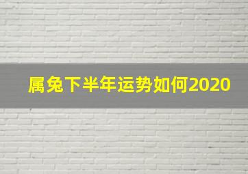 属兔下半年运势如何2020