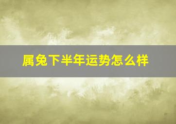 属兔下半年运势怎么样