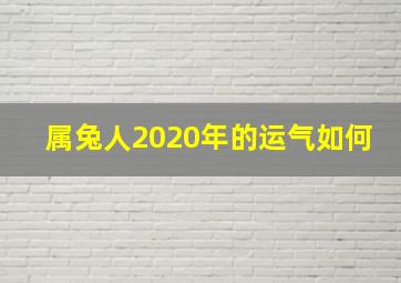 属兔人2020年的运气如何