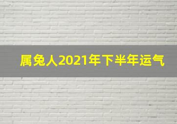 属兔人2021年下半年运气