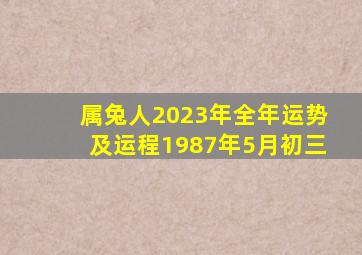 属兔人2023年全年运势及运程1987年5月初三