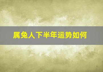 属兔人下半年运势如何