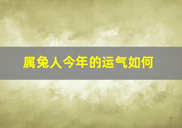 属兔人今年的运气如何