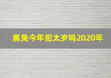 属兔今年犯太岁吗2020年