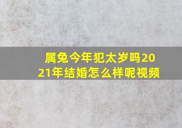 属兔今年犯太岁吗2021年结婚怎么样呢视频