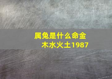 属兔是什么命金木水火土1987