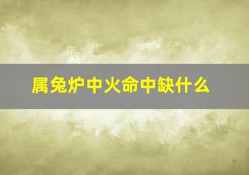 属兔炉中火命中缺什么