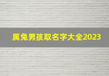 属兔男孩取名字大全2023