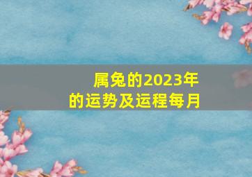 属兔的2023年的运势及运程每月