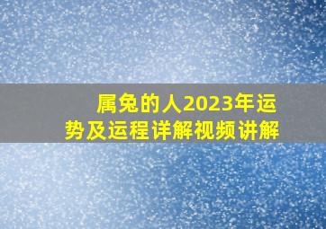 属兔的人2023年运势及运程详解视频讲解