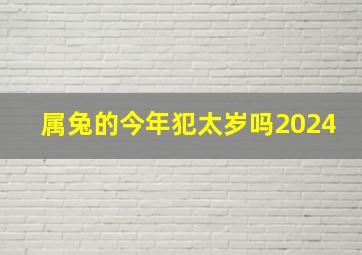 属兔的今年犯太岁吗2024