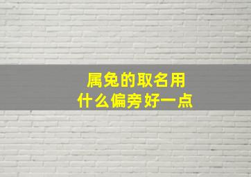 属兔的取名用什么偏旁好一点