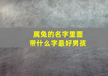 属兔的名字里面带什么字最好男孩