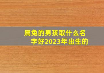 属兔的男孩取什么名字好2023年出生的