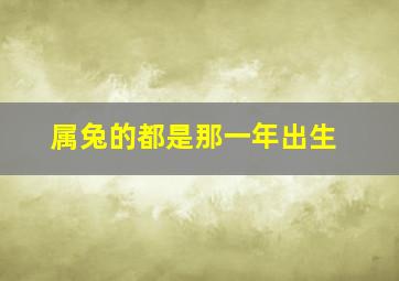 属兔的都是那一年出生