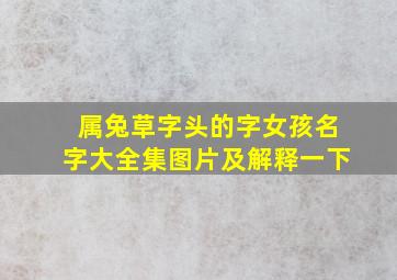 属兔草字头的字女孩名字大全集图片及解释一下