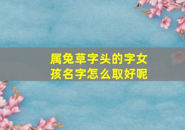 属兔草字头的字女孩名字怎么取好呢