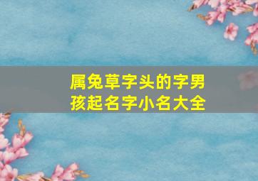 属兔草字头的字男孩起名字小名大全