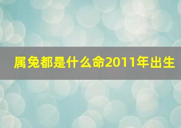 属兔都是什么命2011年出生