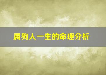 属狗人一生的命理分析