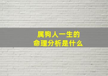 属狗人一生的命理分析是什么