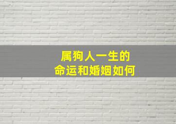 属狗人一生的命运和婚姻如何