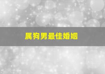 属狗男最佳婚姻