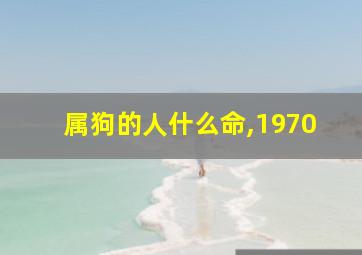 属狗的人什么命,1970