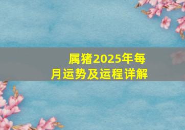 属猪2025年每月运势及运程详解