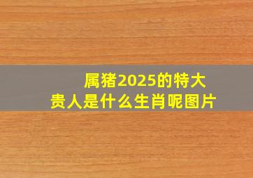 属猪2025的特大贵人是什么生肖呢图片