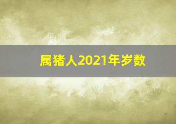 属猪人2021年岁数