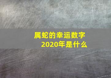 属蛇的幸运数字2020年是什么