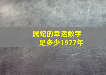 属蛇的幸运数字是多少1977年