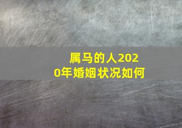 属马的人2020年婚姻状况如何