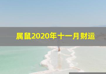 属鼠2020年十一月财运