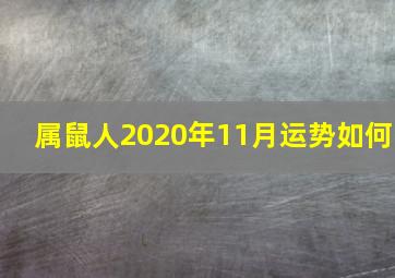 属鼠人2020年11月运势如何