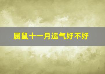 属鼠十一月运气好不好