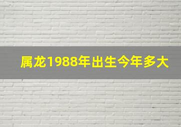 属龙1988年出生今年多大