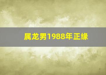 属龙男1988年正缘