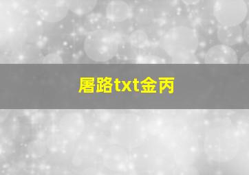 屠路txt金丙