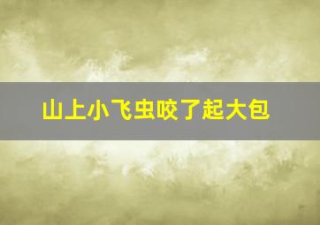 山上小飞虫咬了起大包