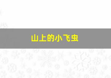 山上的小飞虫